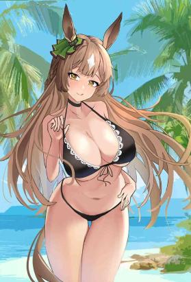 光钻北黑与训练员的夏日旅行