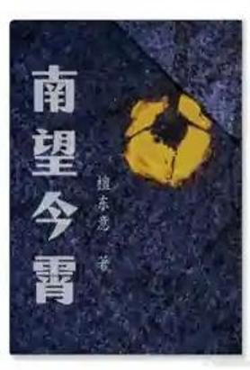 南望今霄