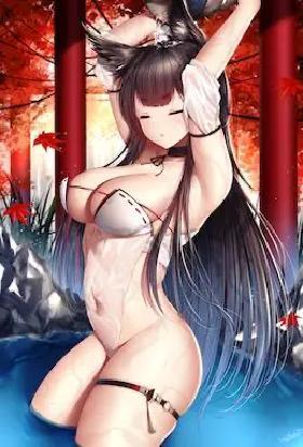 寻狐